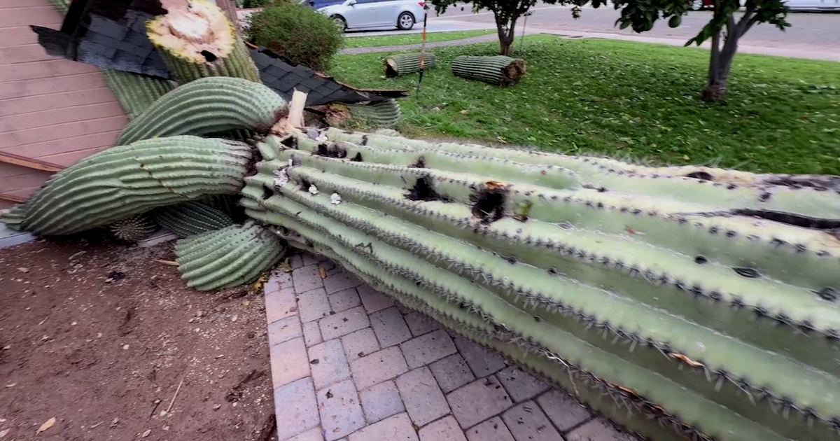 Fox Machine For Telephone North Phoenix storm cleanup begins as residents face hail damage | FOX ...