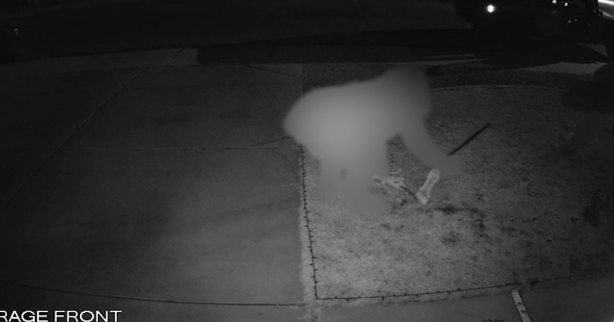 Security cameras catch 'Halloween Grinch' stealing Surprise yard displays