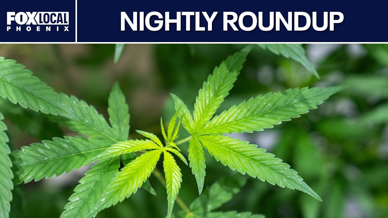 fox10phoenix.com - Kenneth Wong - AZ mom allegedly set up by fianc&eacute;; State of AZ cannabis | Nightly Roundup