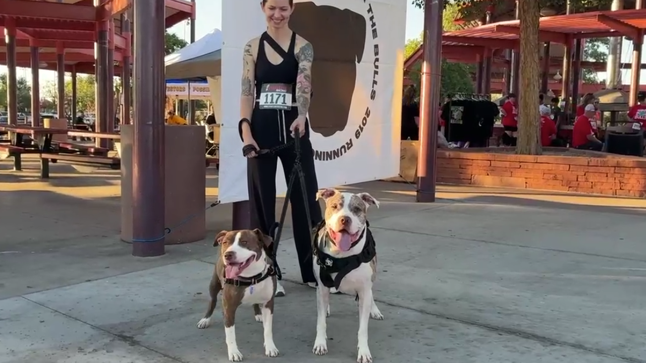 AZK9 Rescue hosts 14th annual Running for the Bulls event in AZK9 Rescue hosts 14th annual Running for the Bulls event in