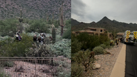 Hiker struck in head by cactus on Scottsdale trail