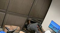 Tempe burglar steals empty Mac Mini boxes instead of computers