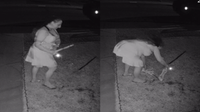 Autumnal Grinch steals kids' Halloween in Surprise