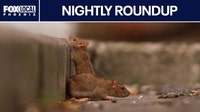 Ranking finds worst rat cities | Nightly Roundup