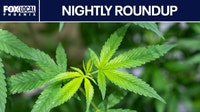 State of Arizona cannabis | Nightly Roundup