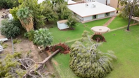 Mesa storm damage: Trees down, cars smashed by powerful winds