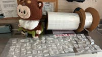 Arizona cops find 84 meth bags in viral plush toy