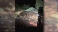 Heber storm damage prompts call for Arizona state of emergency declaration