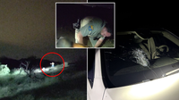64-year-old arrested hurling rocks at Phoenix cars