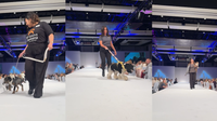 Adoptable dogs walk runway at Arizona Humane Society fashion gala