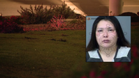 Car crashes into Surprise pond, driver rescued by police