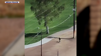Mesa Police drone helps catch domestic violence suspect, locate fentanyl and gun