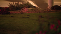 Car crashes into Surprise pond, driver rescued by police
