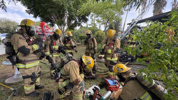 3 dogs, 3 cats rescued, some revived after Phoenix house fire