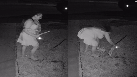 Woman caught on camera swiping Halloween yard decorations in Surprise