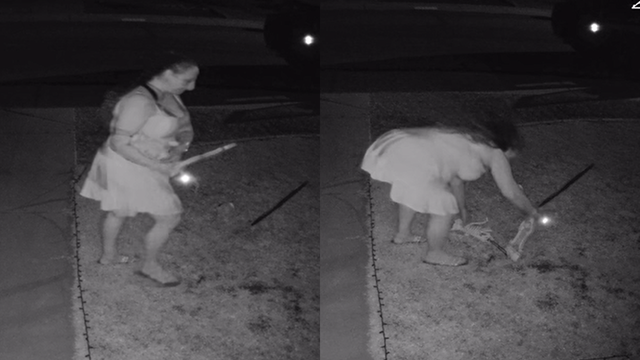 Woman caught on camera swiping Halloween yard decorations in Surprise
