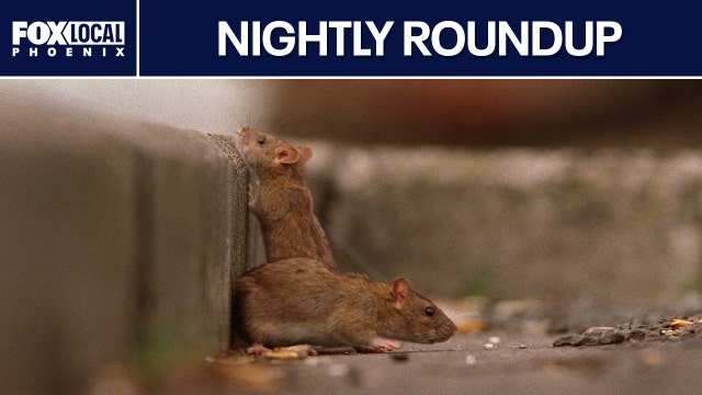 Barefoot tracks lead to missing boys; new ranking finds worst rat cities | Nightly Roundup