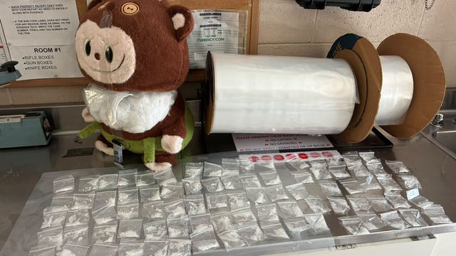 Cops checking on child home alone find 84 meth bags hidden in viral toy monster, arrest Arizona woman
