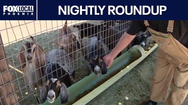 Arizona passes Cade's Law; dogs allegedly attack Rainbow Valley farm | Nightly Roundup