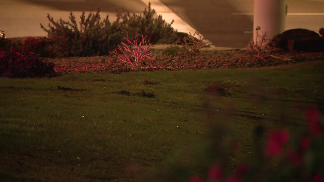 Car crashes into Surprise pond, driver rescued by police