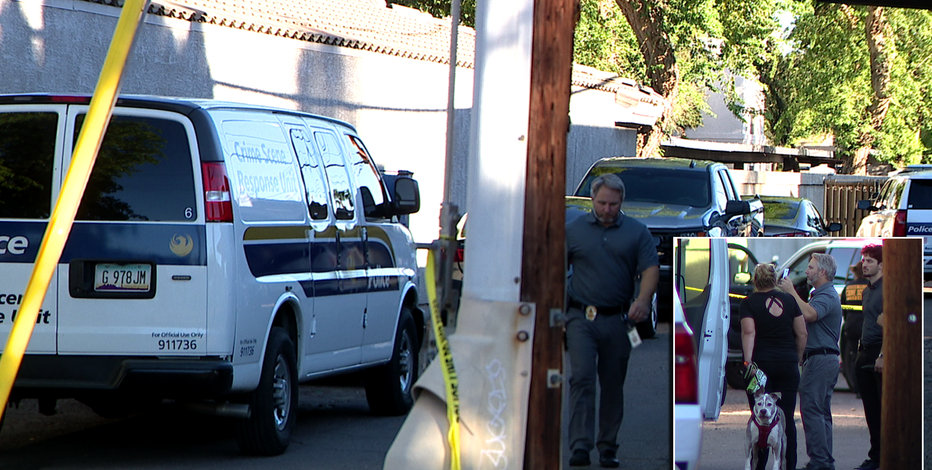 Phoenix driver shot dead behind wheel, suspect caught in nearby apartment