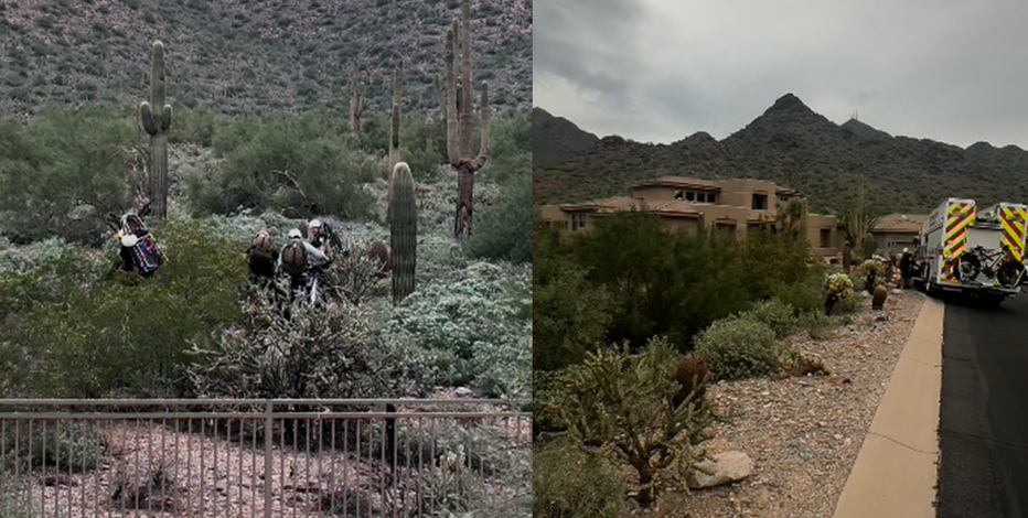 Hiker struck in head by cactus on Scottsdale trail