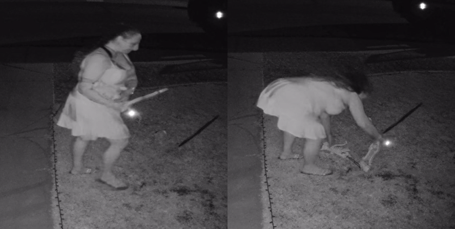 Woman caught on camera swiping Halloween yard decorations in Surprise