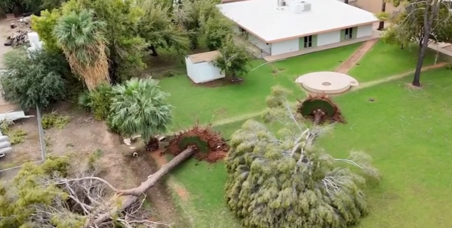Mesa storm damage: Trees down, cars smashed by powerful winds