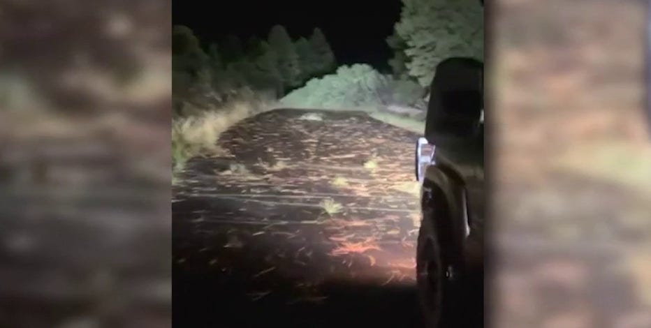 Heber storm damage prompts call for Arizona state of emergency declaration