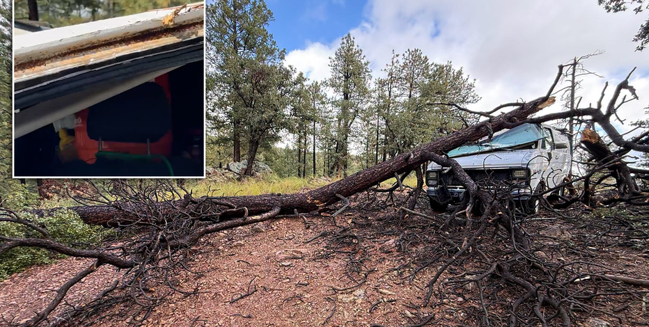 Igloo water cooler 'miraculously' saves Arizona camper, dog from giant falling tree