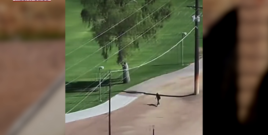Mesa Police drone helps catch domestic violence suspect, locate fentanyl and gun