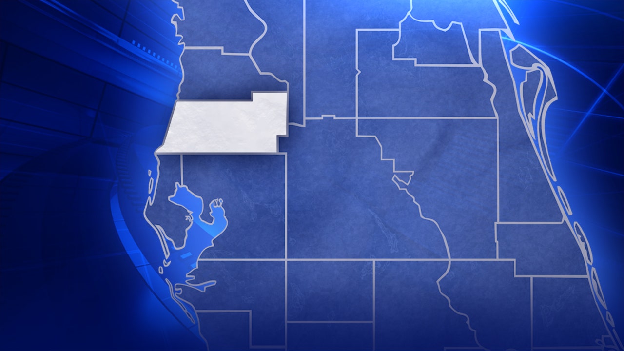 Fire damages New Port Richey 8-unit apartment: fire department