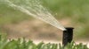 Lawn water restrictions in place for South Central Hillsborough County through end of June