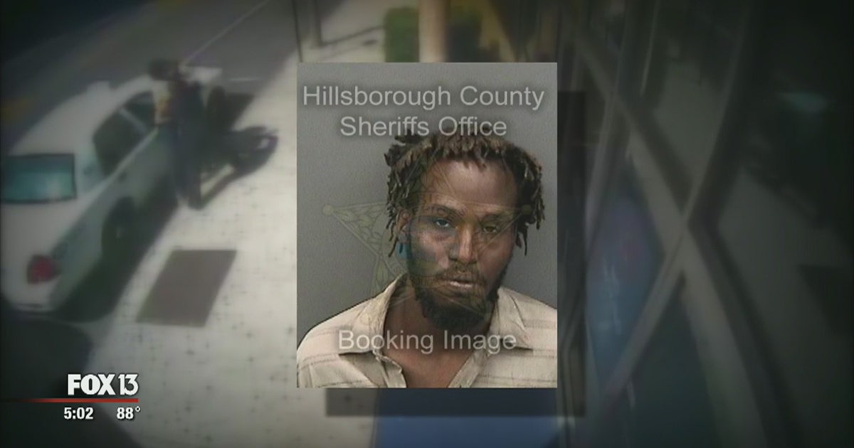 Good Samaritans step in to help officers with suspect | FOX 13 Tampa Bay