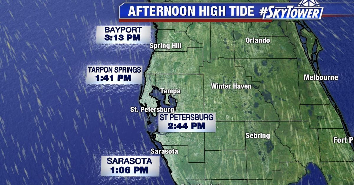 Tropical Storm Colin: Track and forecast | FOX 13 Tampa Bay