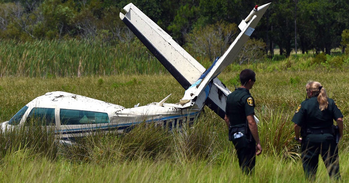 Pilot injured in small plane crash | FOX 13 Tampa Bay