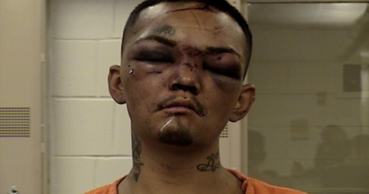 Mugshot shows what happened when man allegedly tried to carjack three ...