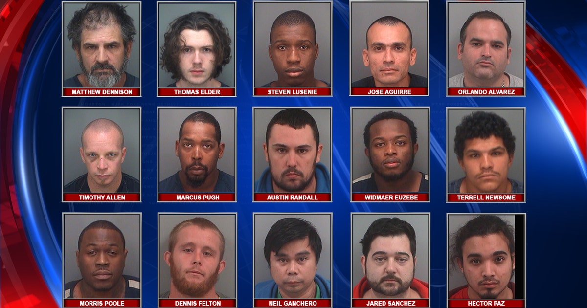 Pinellas SVU arrests 15 during chat investigation | FOX 13 Tampa Bay