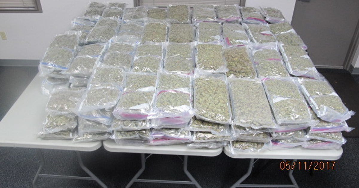 FHP seizes over $1.5 million worth of illegal marijuana | FOX 13 Tampa Bay