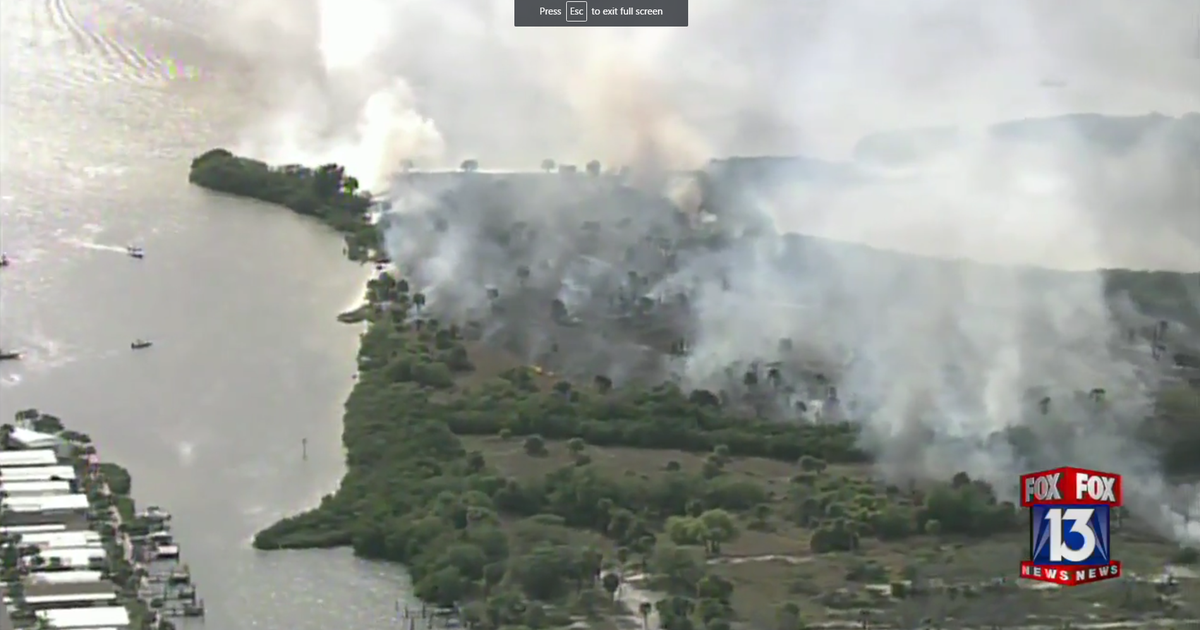 Wildfire burns 50 acres near Gandy Blvd. in Tampa | FOX 13 Tampa Bay