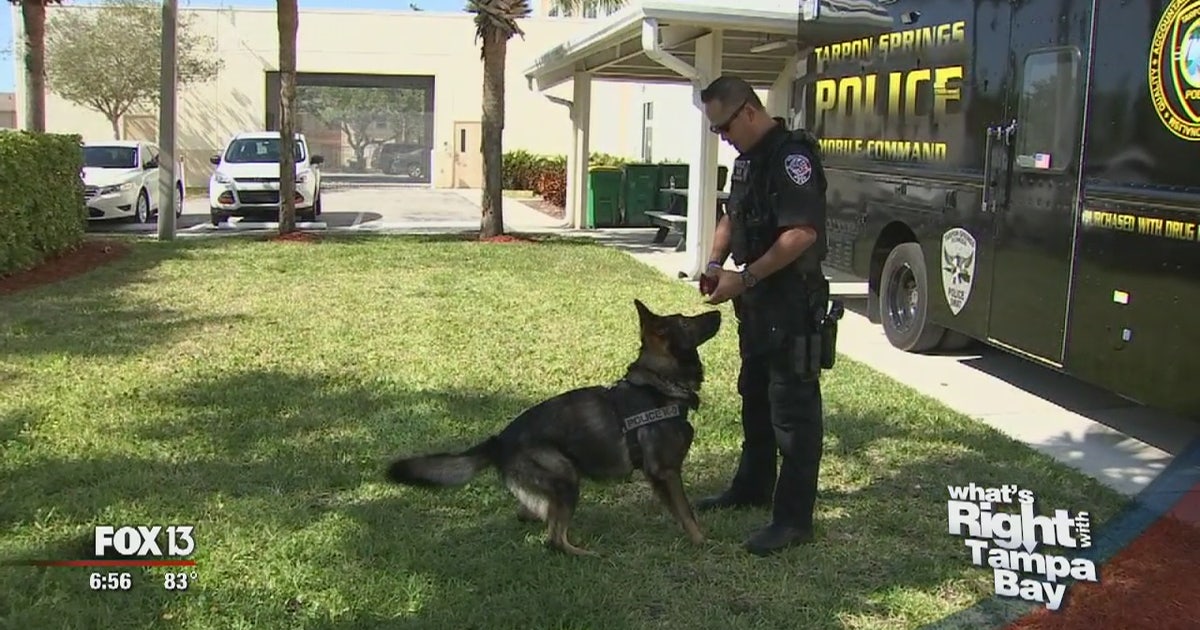 Businessman donates funds for K9 support | FOX 13 Tampa Bay
