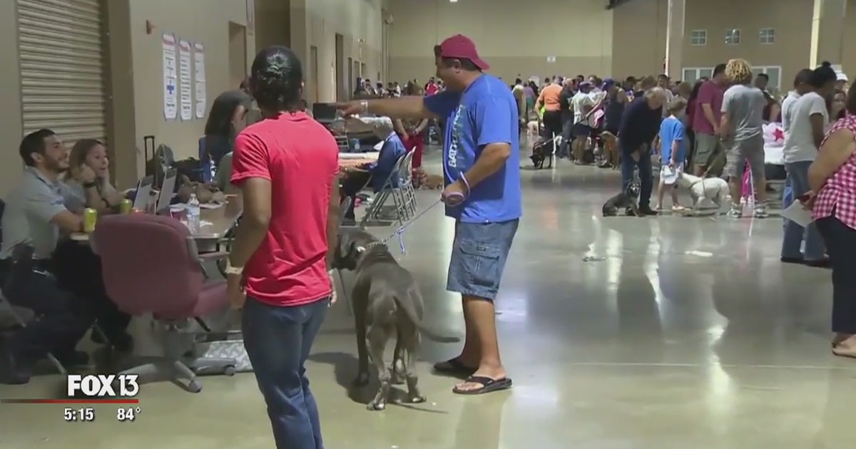 Sarasota Co. making new plans for hurricane evacuations | FOX 13 Tampa Bay