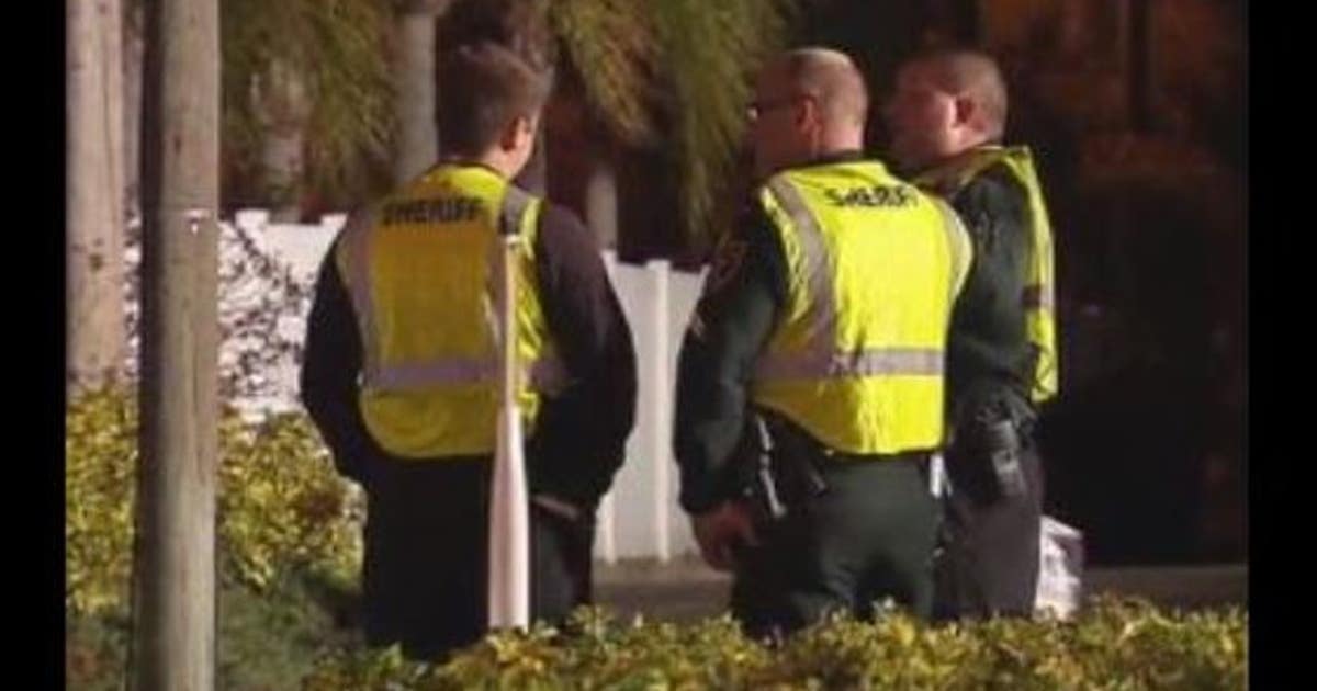 Search continues for driver in deadly hit and run | FOX 13 Tampa Bay
