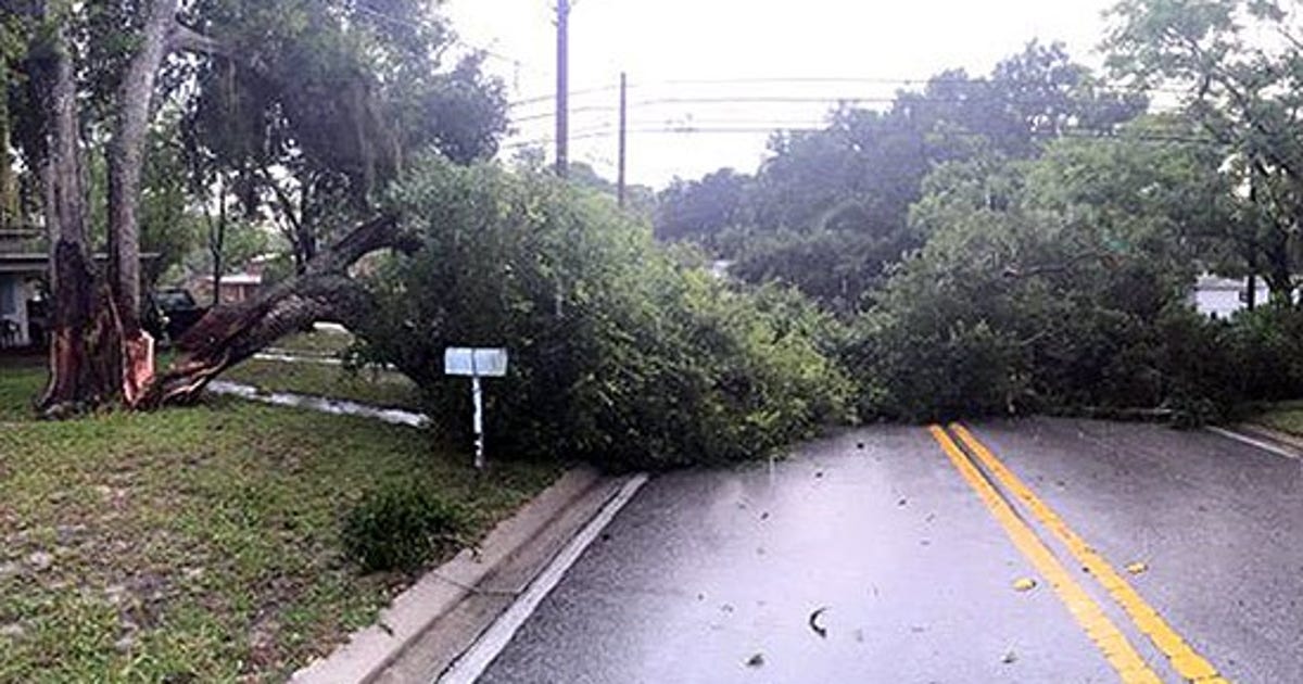 Storms leave damage across Bay Area | FOX 13 Tampa Bay