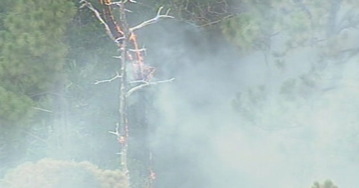 Brush fire burning near Osceola High School | FOX 13 Tampa Bay