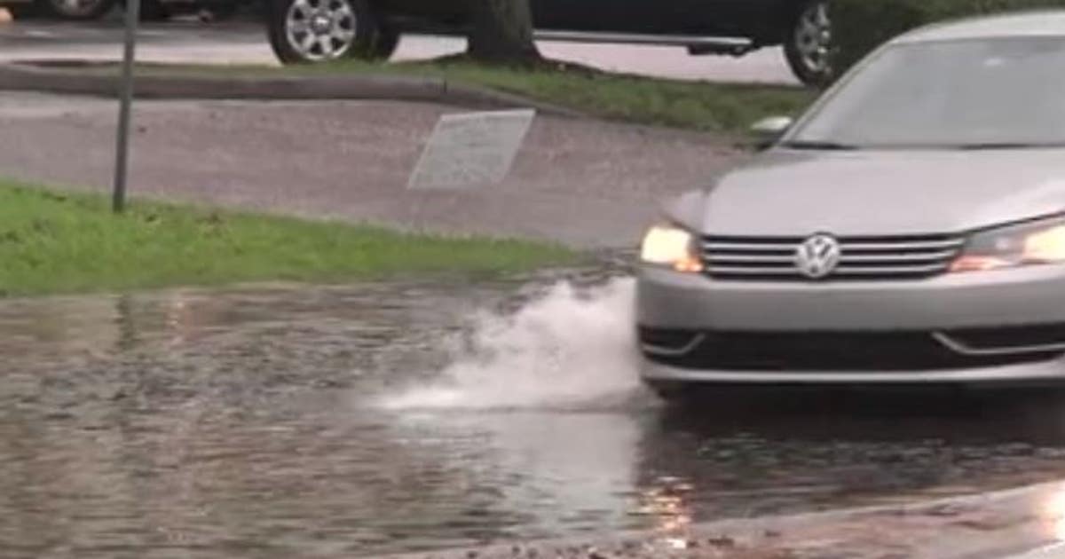 Cleaning up after south Tampa flooding | FOX 13 Tampa Bay