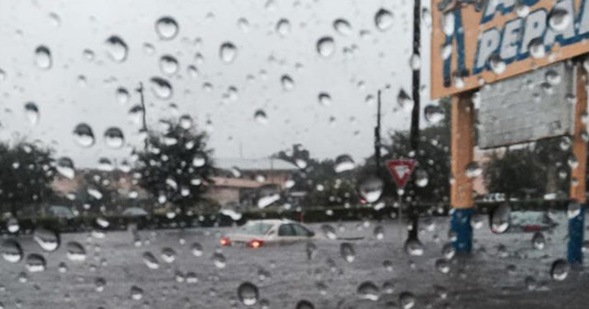 Floods continue as rains return | FOX 13 Tampa Bay