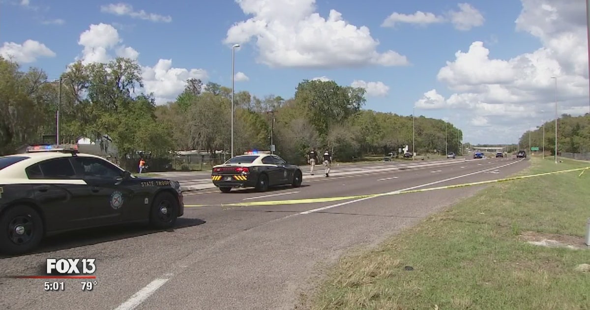 Latest hit-and-run leaves man dead, wife hurt | FOX 13 Tampa Bay