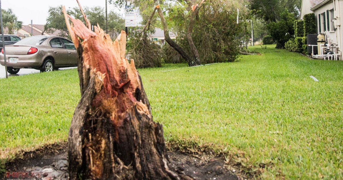 NWS: At least 4 confirmed tornadoes in Bay Area Friday | FOX 13 Tampa Bay