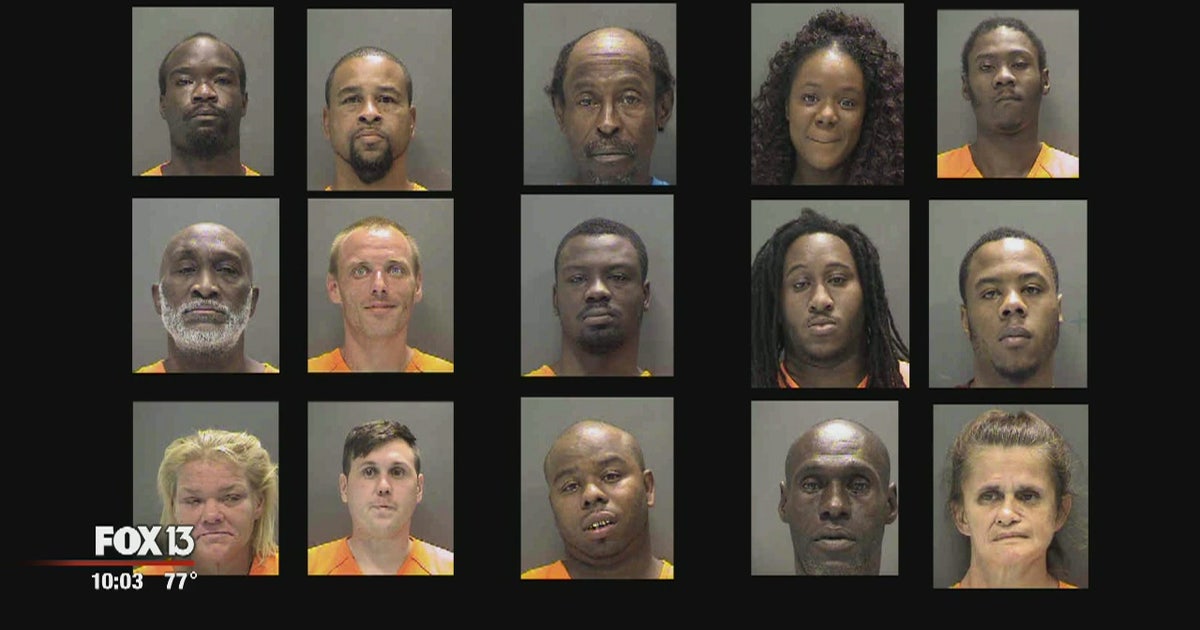 Undercover fentanyl bust yields 15 arrests in Sarasota | FOX 13 Tampa Bay